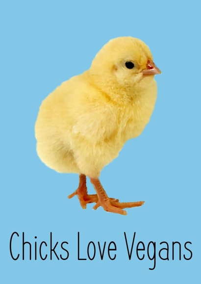 chick chicken Just because... Card 24835 created by Tofu'd Designs