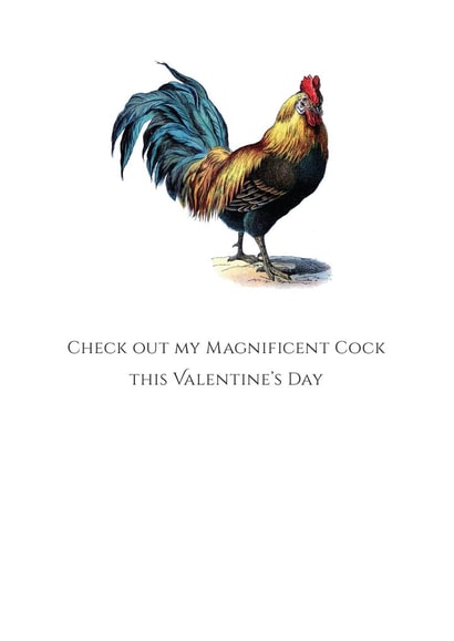 valentine cock Valentines Day Card 22597 created by Colonel I. P. Knightly