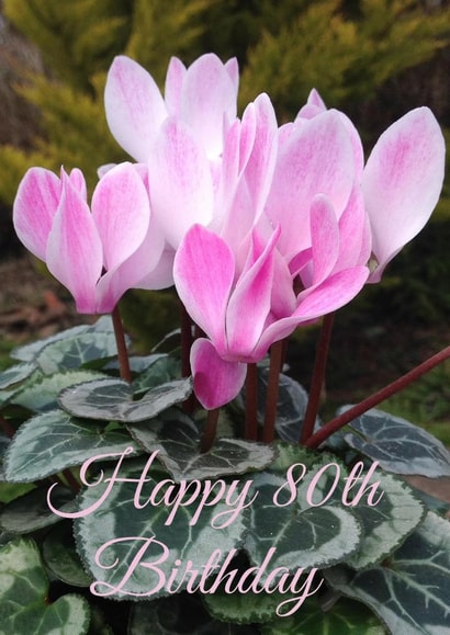 80th 80 Card 25991 created by Caroline Davies