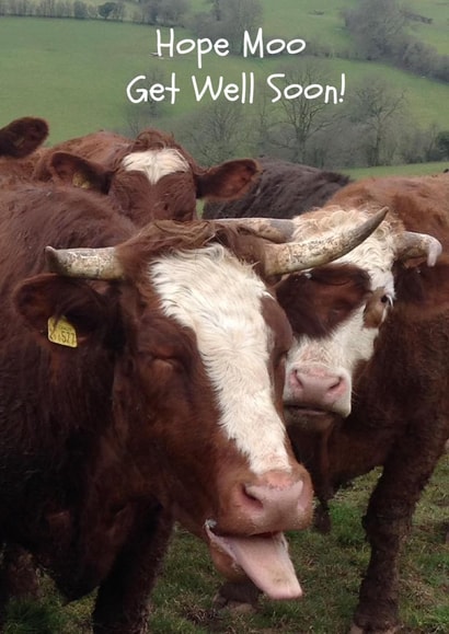 Get GetWEll Card 25993 created by Caroline Davies