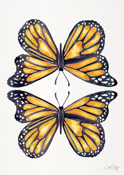 butterfly MALE Card 26227 created by Cat Coquillette