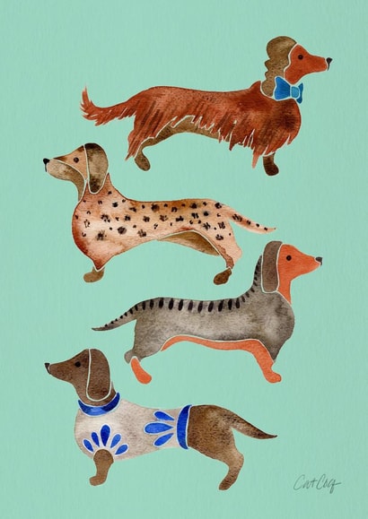 dachshund puppy Card 3620 created by Cat Coquillette