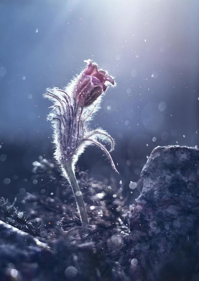 Sympathy Thinking Of You Sympathy Card 1305 created by Alina Shevelina