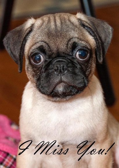 Photography Love Thinking of you Card 27751 created by Rick Shea