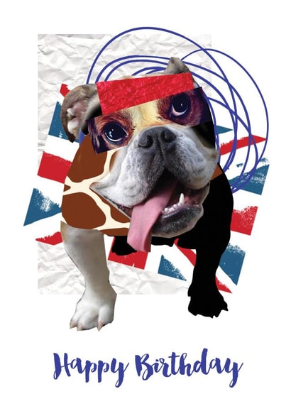 british bulldog Birthday Card 27713 created by Lubelu London