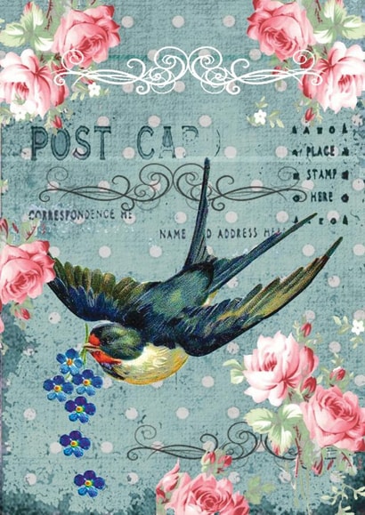 Classic Birthday Card - For Her - Bird created by Simon Paulson