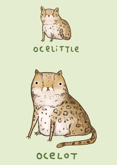 ocelittle ocelot Just because Card 1121 created by Sophie Corrigan