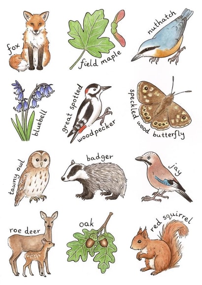 woodland wildlife Just because Card 28504 created by Hazel Fisher Creations