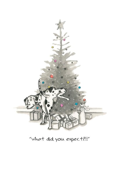 #christmas #dogs Christmas Card 23415 created by Siobhan Barlow