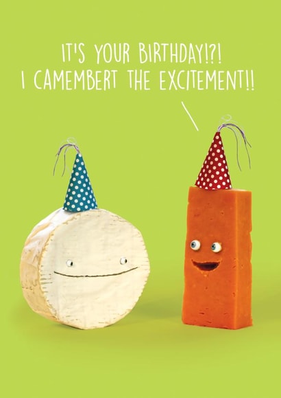 birthday cheese Birthday Card 6913 created by Unknown Ink