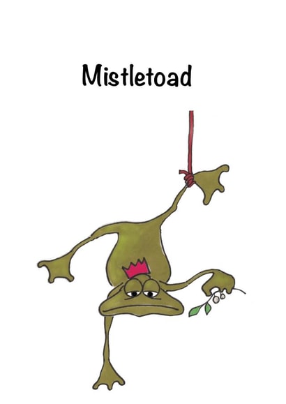 Christmas toad Christmas Card 28654 created by Sophie Pollock