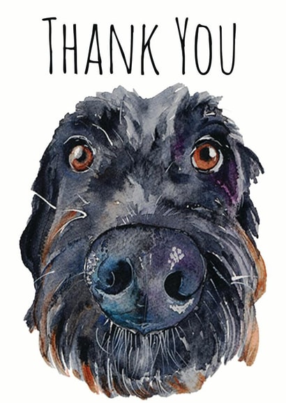 dog thank Thank You Card 1579 created by Jo Scott Art