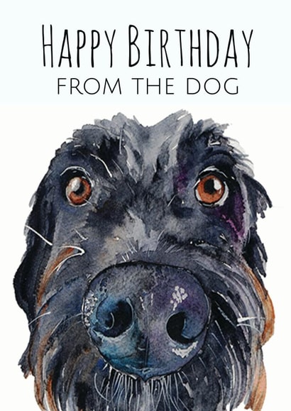 dog Adult Birthday Card 1580 created by Jo Scott Art