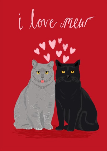 cat valentines Valentines Day Card 25137 created by Pet Friendly