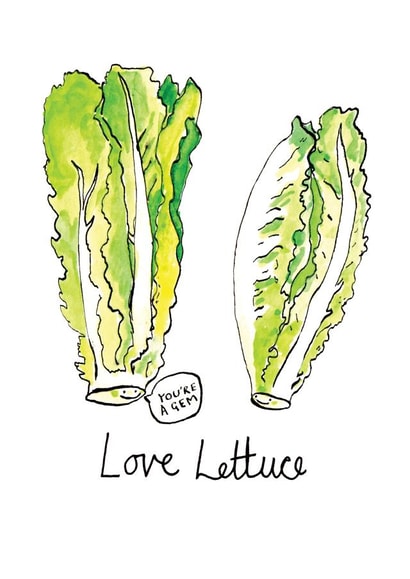 lettuce veggie Valentines Day Card 27864 created by Jelly Armchair