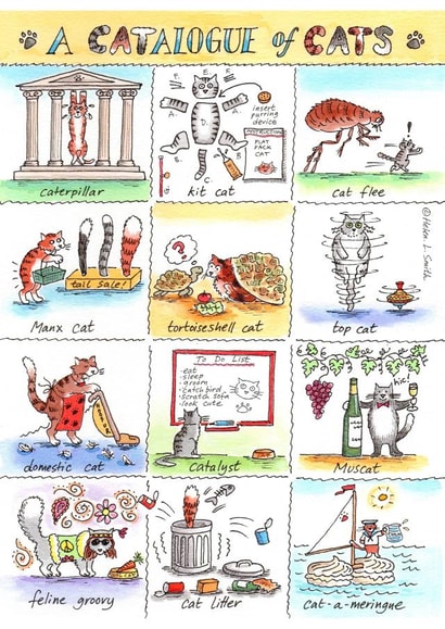 cats humour Just because Card 7979 created by Helen L Smith