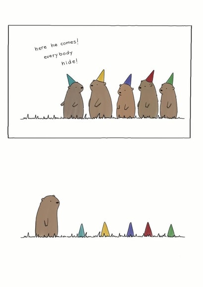 Cute Birthday Card - Party Hats - Everybody Hide! created by Redback Cards