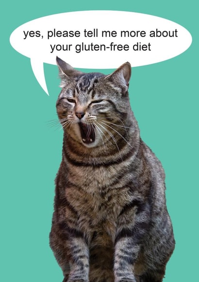 Cat funny Humour Card 7872 created by kissmekwik