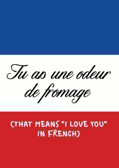 Funny Valentine's Day Card / Anniversary Card - French - You Smell Like Cheese - I Love You In French created by Peabody Studio