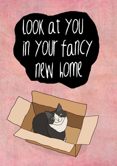 Cute Cat In A Box New Home Card - Cat - Look At You In Your Fancy New Home created by Koro Cinco