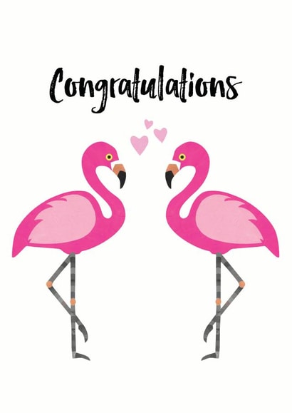 Pink flamingos - congratulations design created by Chameleon and Co