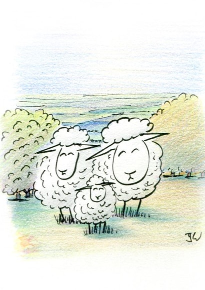 Sheep newborn Card 24323 created by Jon Warren