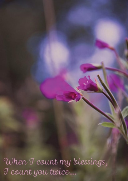 nature Friendship Card 33460 created by Patricia Naish Pet Photography