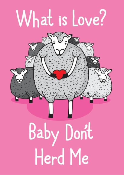 love sheep Love & Friendship Card 33685 created by Pukka Design