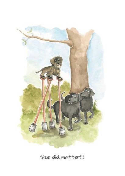 dogs animal Love & Friendship Card 23418 created by Siobhan Barlow