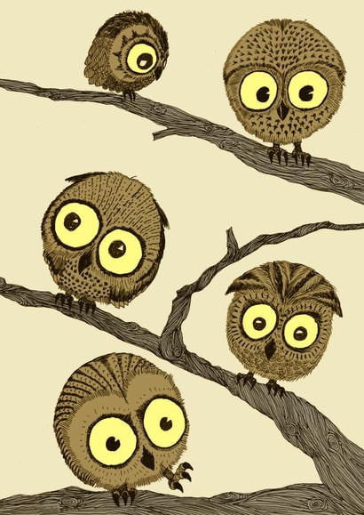 owl owls Card 26125 created by D J R Bennett