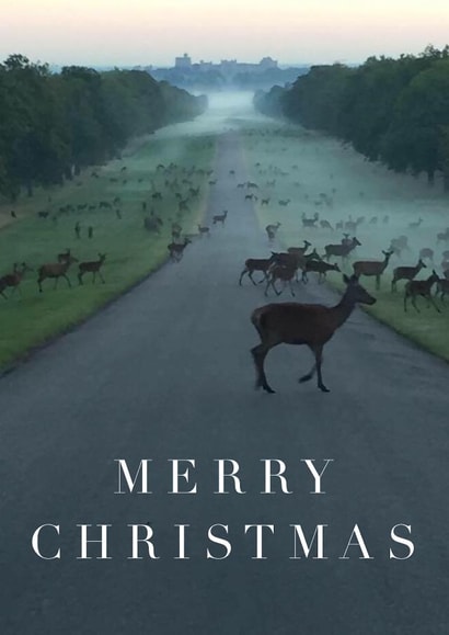 Male Female Christmas Card 22085 created by Simon Baxendale