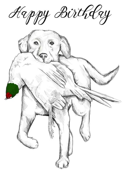 labrador illustration Birthday Card 9829 created by Amy Cockcroft