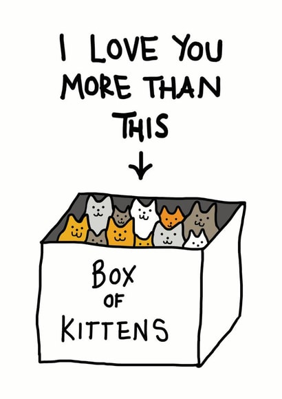 Cute Valentines Day Card - Kittens - I Love You More Than This - Box Of Kittens created by Cat Flap Cards