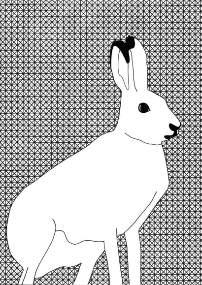 hare wildlife Card 35130 created by Kate Priestman Art