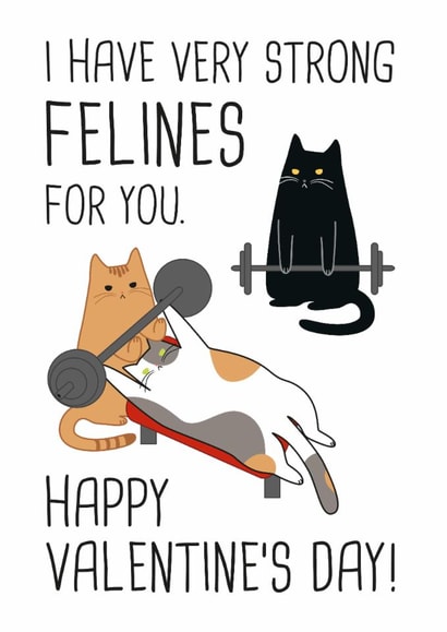 Funny Valentines Day Card - I Have Very Strong Felines For You - Cat - Pun created by Miümi Cat