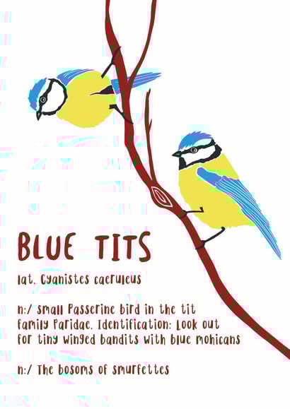 Blue Tits Card 32880 created by Newton and the Apple
