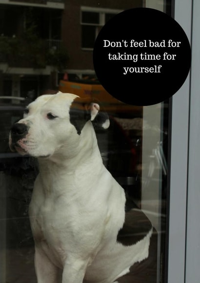 dog illness Card 36882 created by Sara Elise