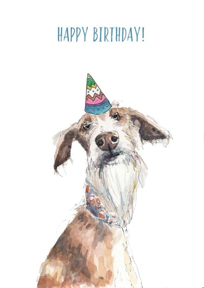 dog podenco Birthday Card 9221 created by Harriet Lowther