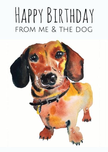 dachshund sausagedog Birthday Card 1585 created by Jo Scott Art