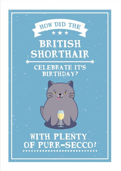 Card 37501 created by Wild Cards by Becky