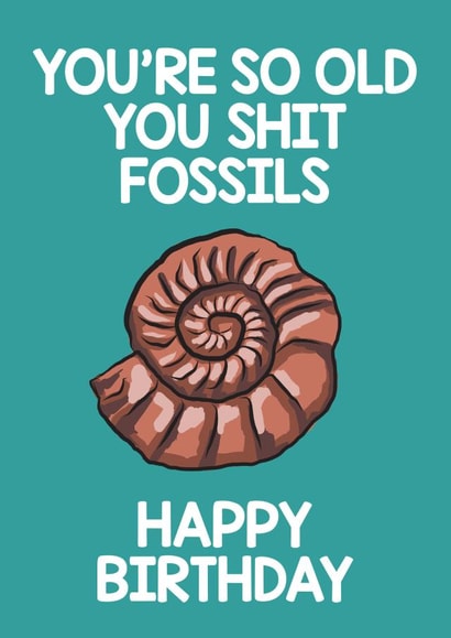 Rude Happy Birthday Card - You're So Old  created by Thirty Mussels