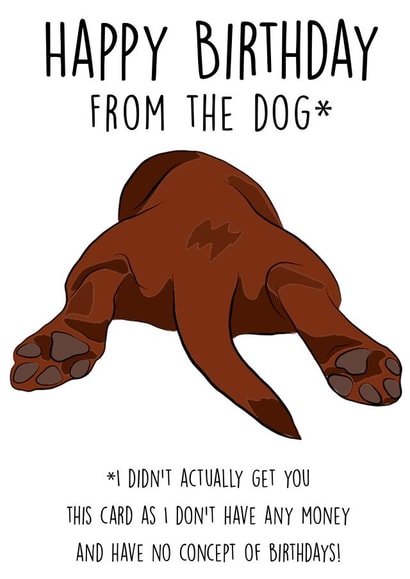 dog funny Birthday Card 7707 created by Helen Giddings