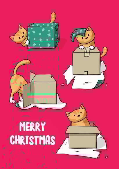 Merry Christmas Cat in a Box created by Doodlecats
