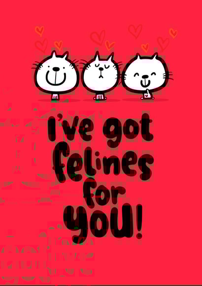 felines for you created by Pink wink