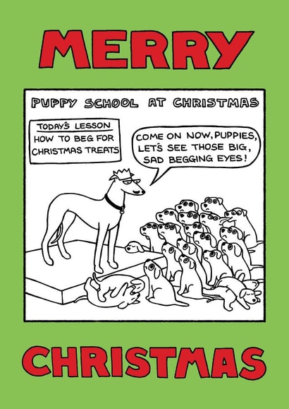 'Puppy School at Christmas' card from Off The Leash created by Off The Leash Cartoons by Rupert Fawcett