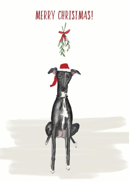 Cute Christmas Card - Greyhound - Mistletoe created by Harriet Lowther