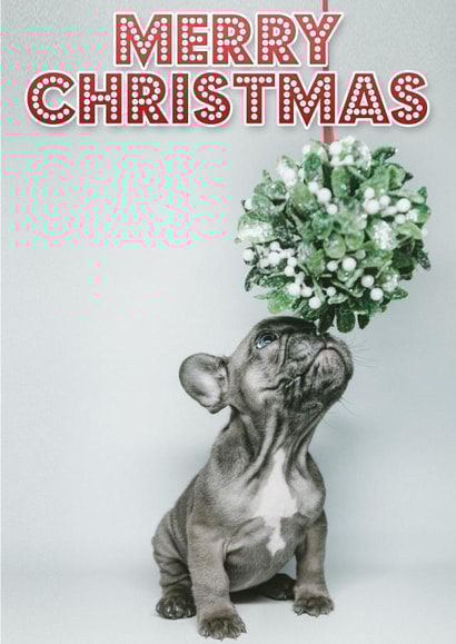 Merry Christmas - Cute Puppy & Mistletoe 1000 created by Sqwibble Cards