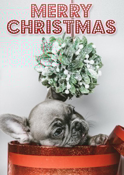Merry Christmas - Cute Puppy & Mistletoe 1001 created by Sqwibble Cards