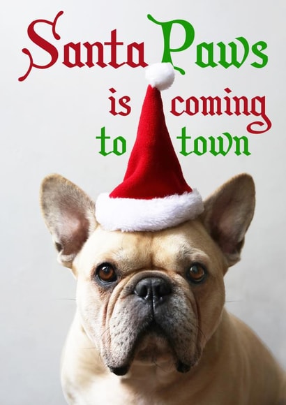 pun bulldog Christmas Card 37809 created by Sofia Wåhlin