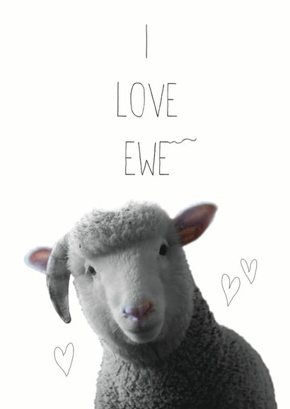 Cute Ewe Pun Anniversary Card / Valentines Day Card - I Love Ewe created by Chocolate Frog